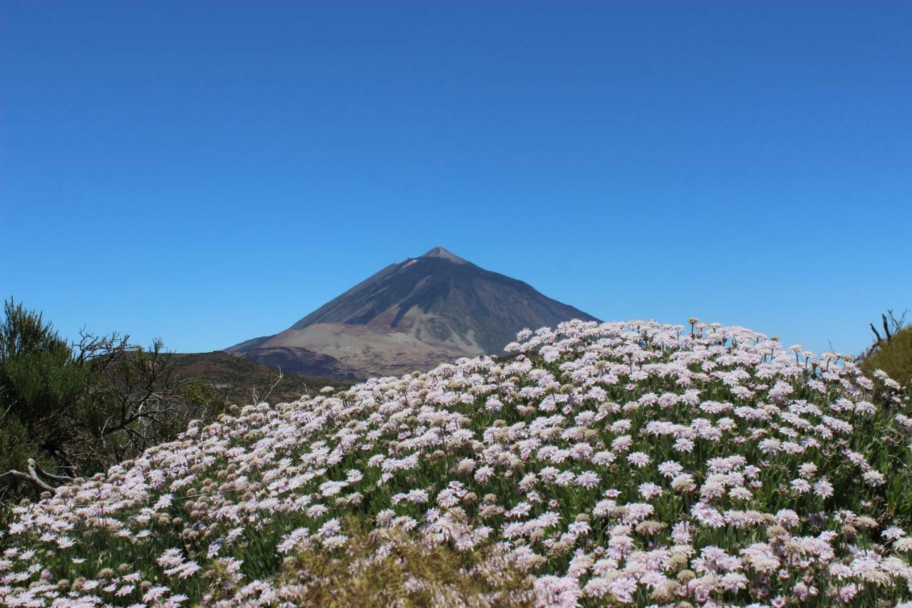 Apt El Perenquen Santa Cruz de Tenerife Luaran gambar